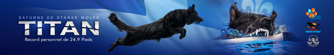 Record Saturne de Starke Wolfe (Titan) - La Source Noire