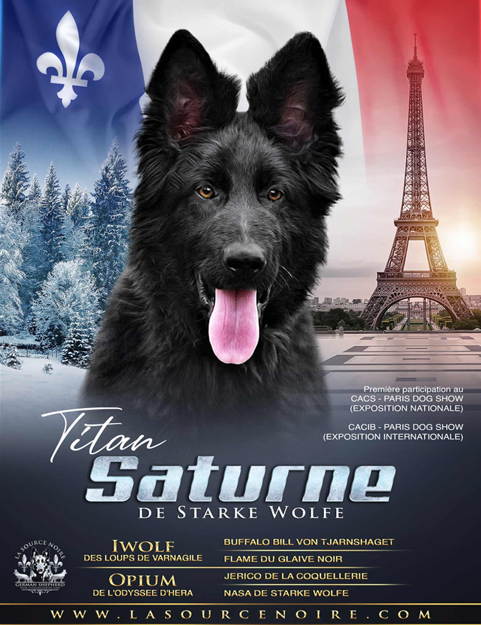 Saturne de Starke Wolfe (Titan) - La Source Noire