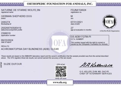 Titan Certificat OFA Achromatopsia Day Blindness