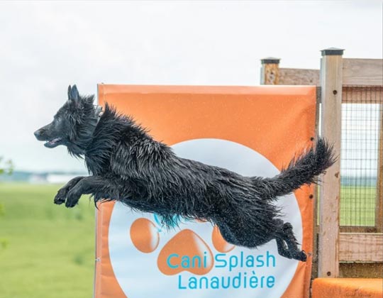 Dock Diving - La Source Noire