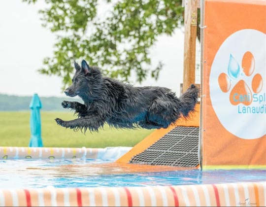 Dock Diving - La Source Noire