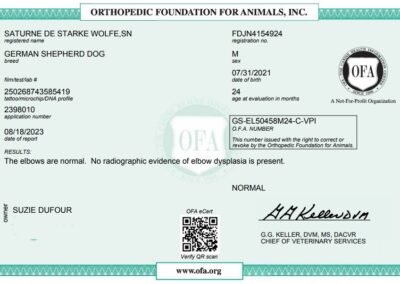 Titan Certificat OFA Elbow Dysplasia