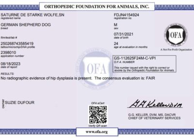 Titan Certificat OFA Hip Dysplasia