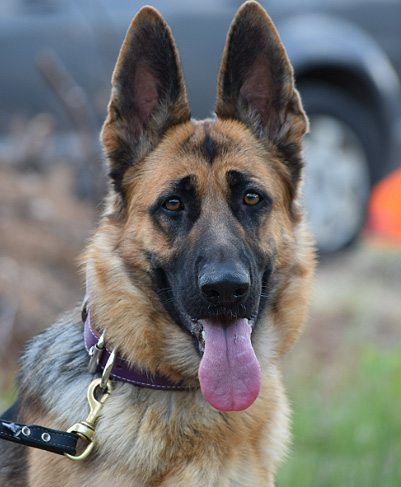 Iona - La Source Noire