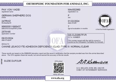 Paxou Certificat OFA Leukocyte Adhesion Deficiency