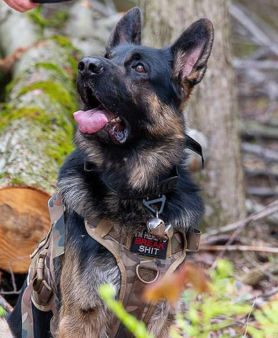 Morris - La Source Noire