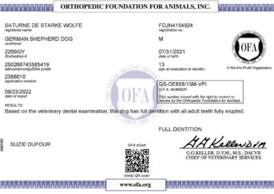 Titan Certificat OFA Dentition 2022