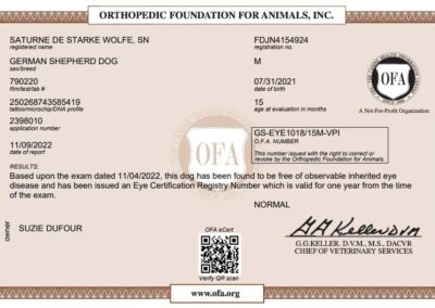 Titan Certificat OFA Eye