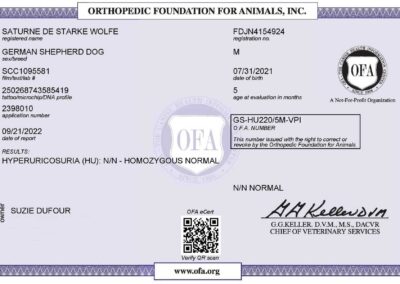 Titan Certificat OFA Hyperruricosuria