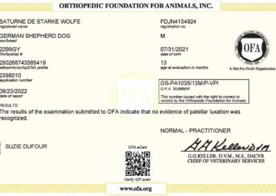 Titan Certificat OFA Patellar Luxation