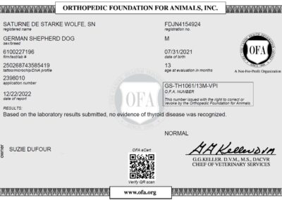 Titan Certificat OFA Thyroid Disease