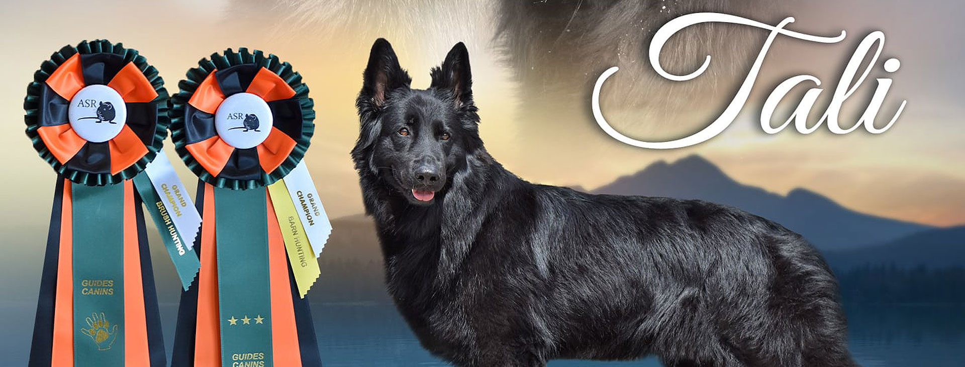 Tali - La Source Noire