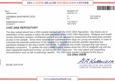 Tali Certificat OFA CHIC DNA