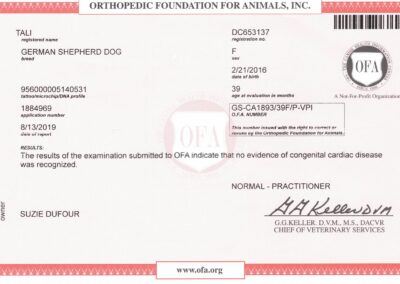 Tali Certificat OFA Cardiac Disease 2019