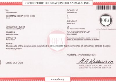 Tali Certificat OFA Cardiac Disease 2018