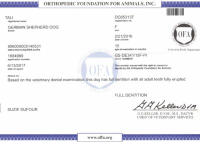 Tali Certificat OFA Dentition