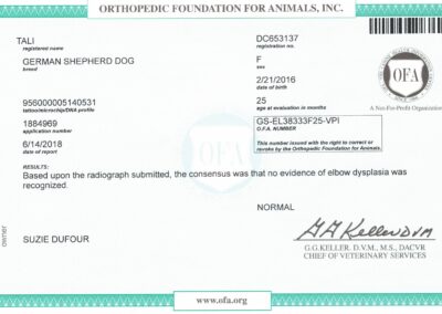 Tali Certificat OFA Elbow Dysplasia