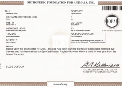 Tali Certificat OFA Eye Disease 2017