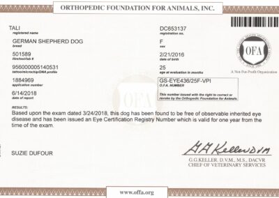 Tali Certificat OFA Eye Disease 2018