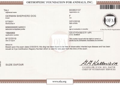 Tali Certificat OFA Eye Disease 2019