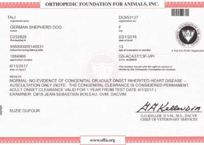Tali Certificat OFA Heart Disease