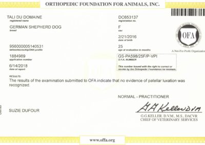 Tali Certificat OFA Patellar Luxation