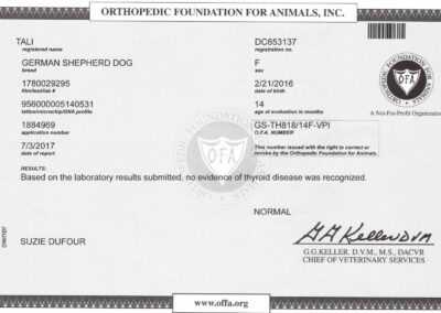 Tali Certificat OFA Thyroid Disease