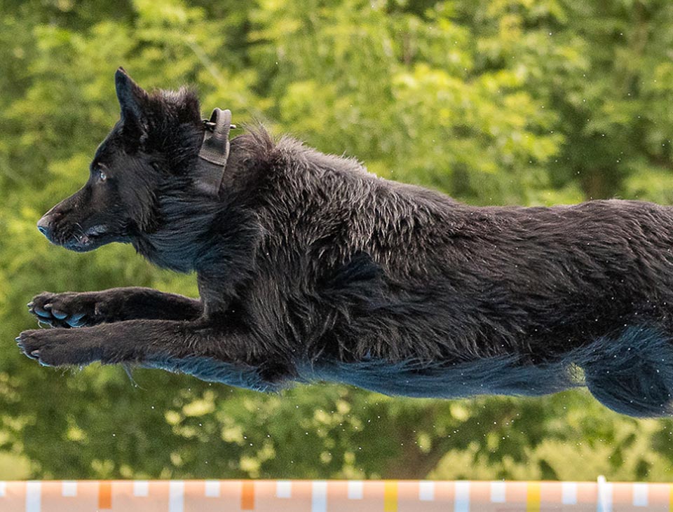 Titan - La Source Noire