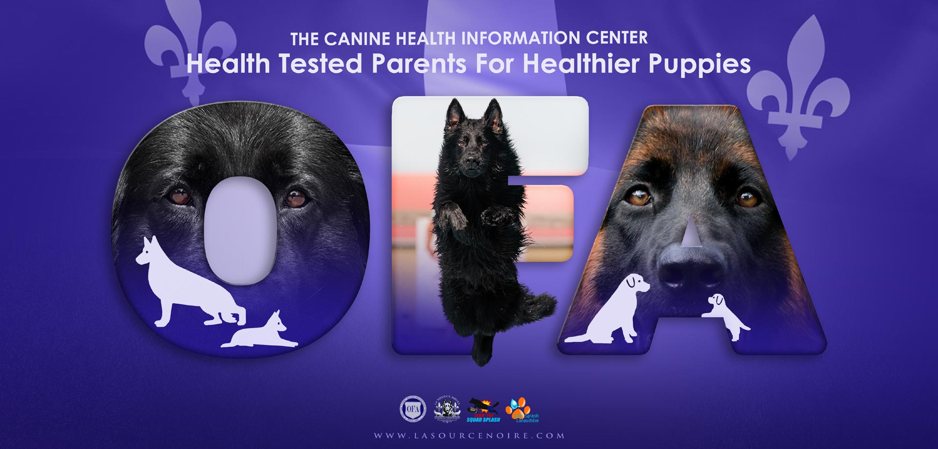 OFA - La Source Noire