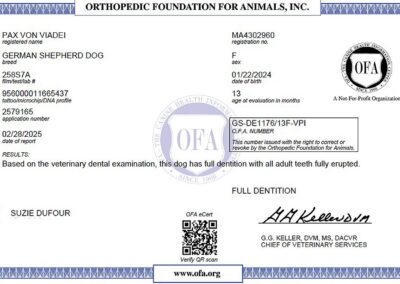 Paxou Certificat OFA Dentition 2025