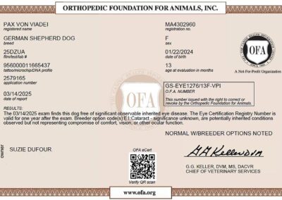 Paxou Certificat OFA Eye 2025