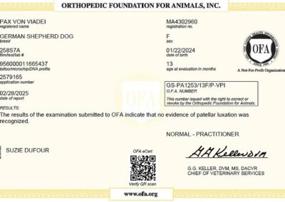 Paxou Certificat OFA Patellar Luxation 2025