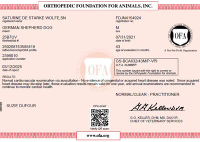 Titan Certificat OFA Cardiac Disease 2025