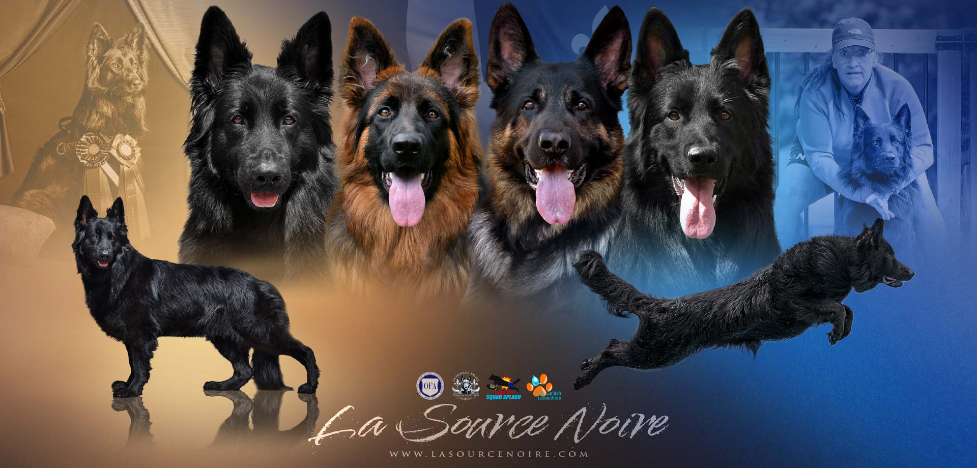 La Source Noire - Élevage de bergers allemands