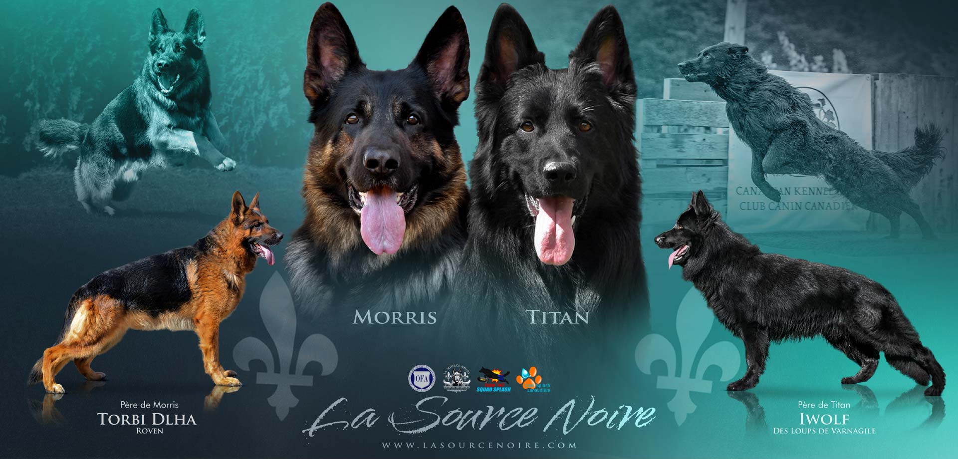 Reproducteurs - La Source Noire