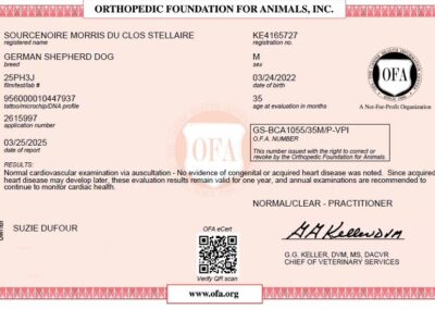 Morris Certificat OFA Cardiac Disease 2025